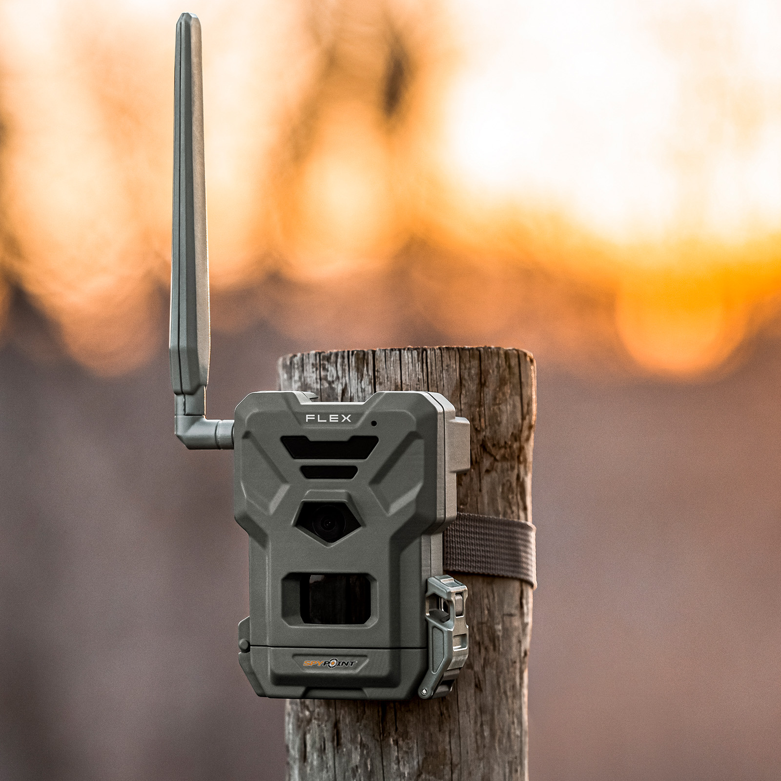 SPYPOINT FLEX WILDKAMERA - 33 MP