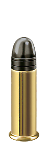 RWS .22LR - Z LANG - ZIMMERPATRONEN - 50 SCHUSS