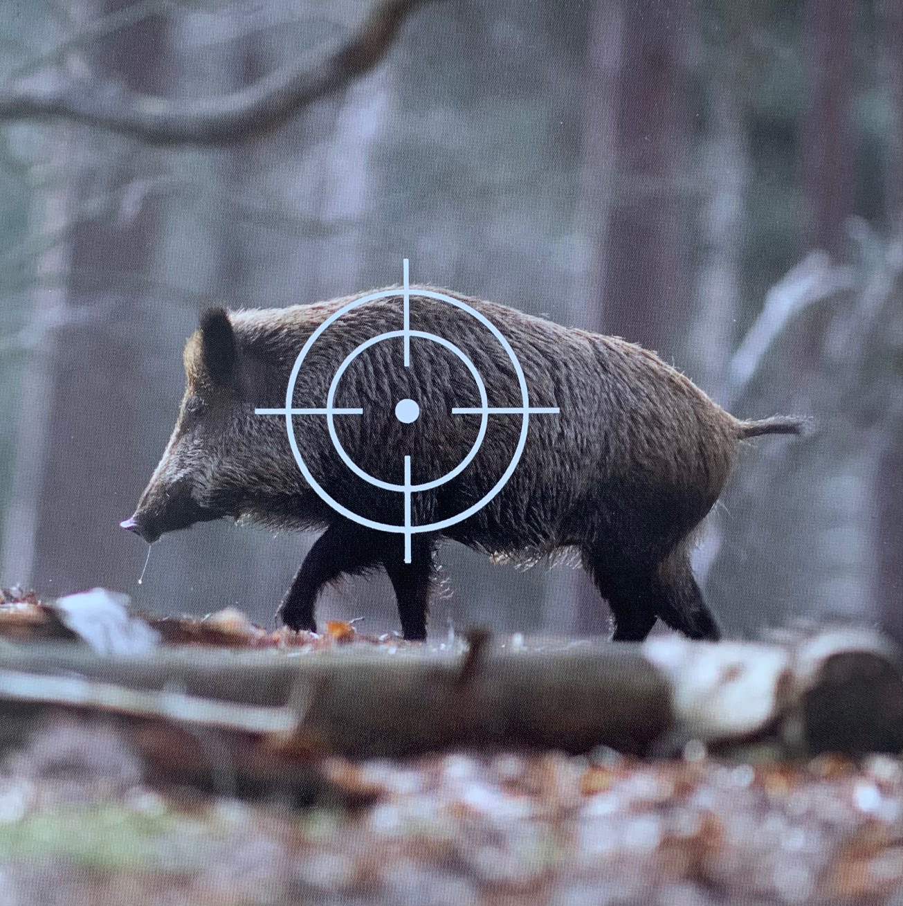 ZIELSCHEIBE SPAßSCHEIBE "TIERE" 10-ER PACK