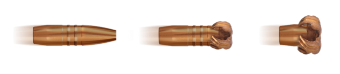 GECO STAR .308WIN - 165GRS. - 20 SCHUSS