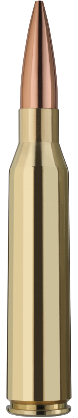RWS TARGET ELITE PLUS -  338 LAPUA MAG. 250GRS. HPBT - 20 PATRONEN