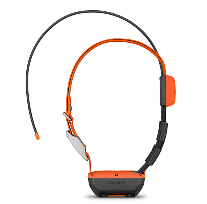 GARMIN ALPHA T 20 K - GPS-HUNDEHALSBAND